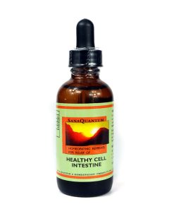 Healthy Cell Intestine